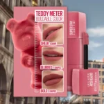 teddy-meter-buildable-color