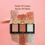 cvb-highlighter-blusher-palette-c225